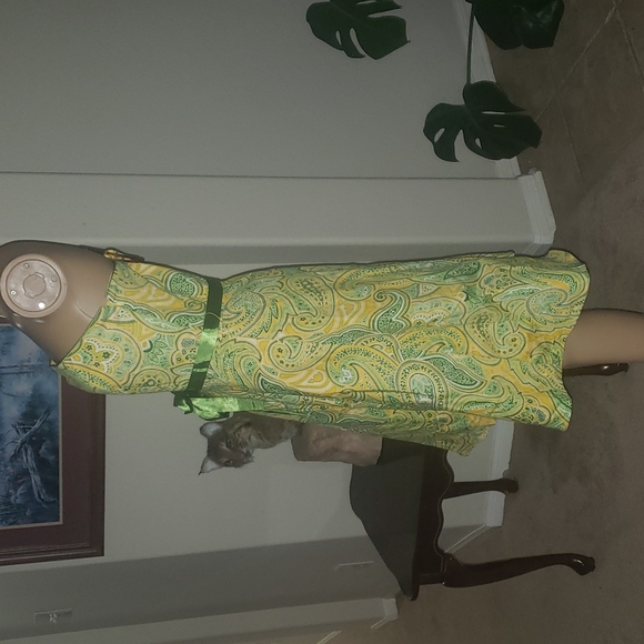 NWT Spense 6 Paisley strapless fit & flare midi with optional straps - Picture 3 of 10